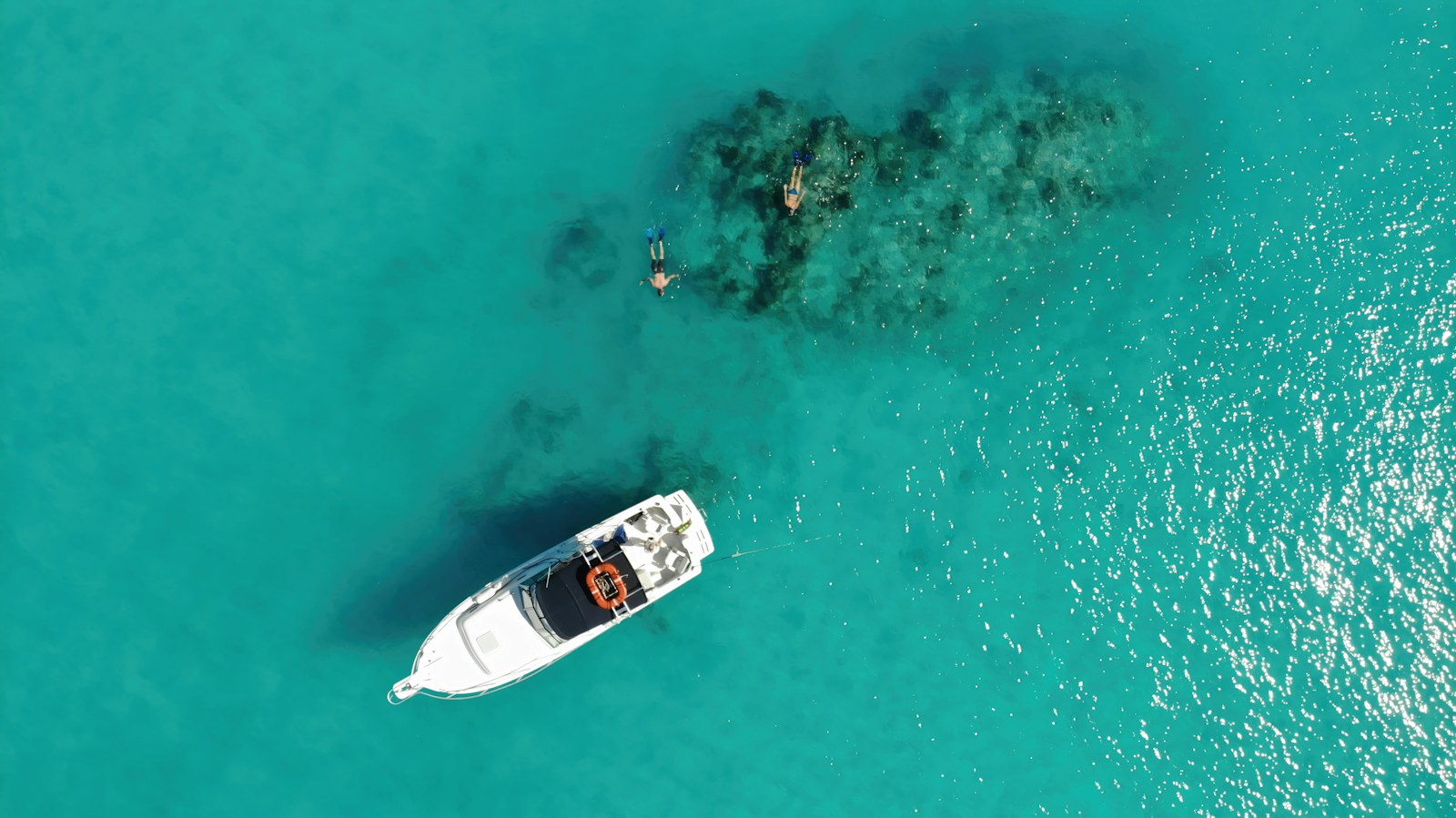 A boat and swimmers in the water near Providenciales, Turks and Caicos